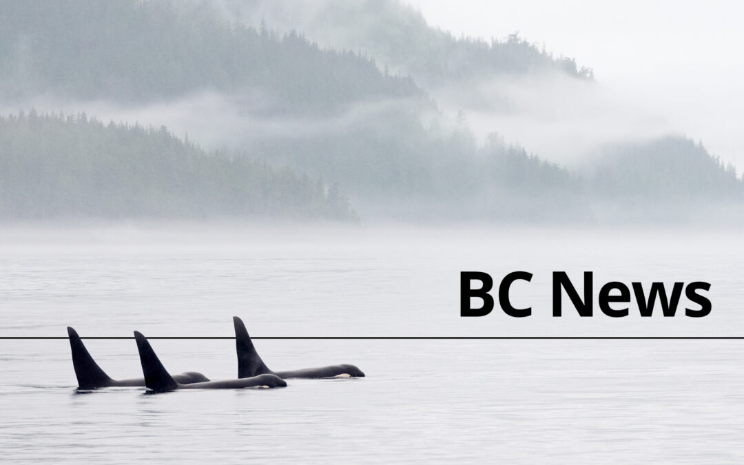 “It’s lifesaving”: B.C. dispatcher encourages hikers, skiers to download new app (Canada)