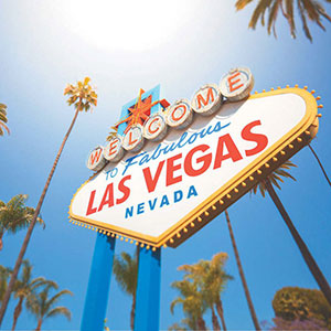 The Vegas Experience