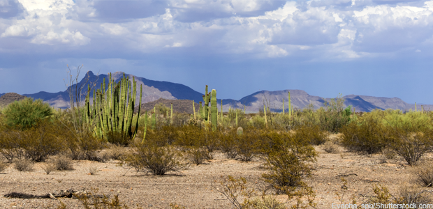 desert (Evdoha_spb/Shutterstock.com)