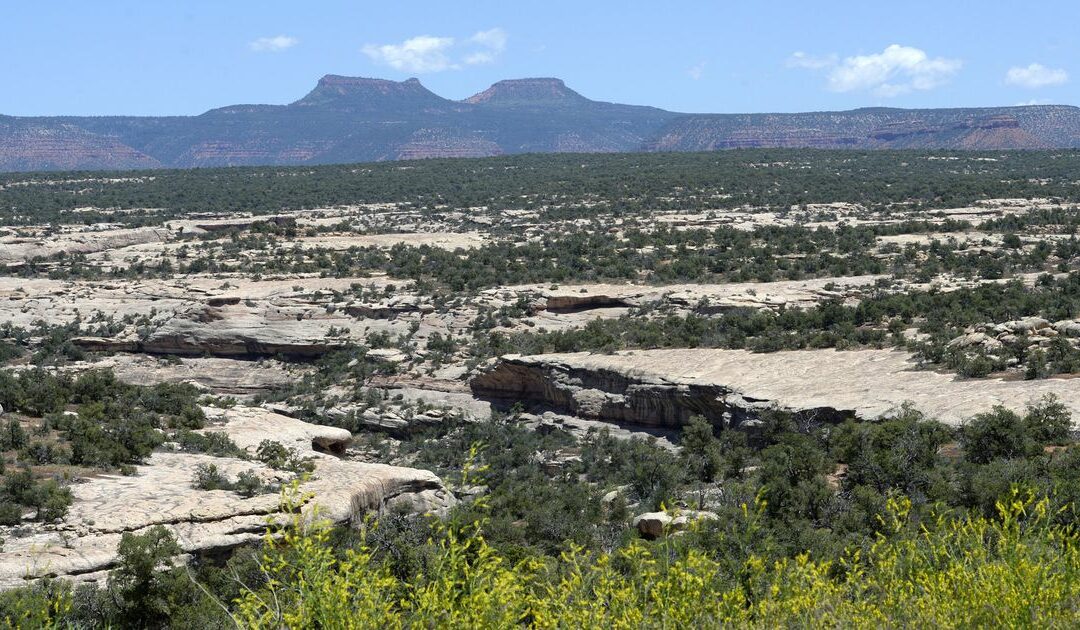 Proposed tower in Bears Ears would eclipse Utah’s tallest building (UT)
